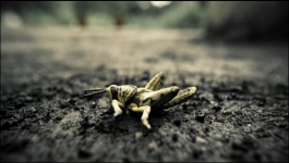 The Third Day - Season 01 Episode 03